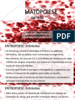 Eritropoese: produção e maturação dos eritrócitos