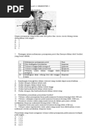 PAT BIOLOGI KELAS 11 IPA PA JAJANG (30 SOAL)