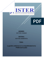 La Gestion Ambiental en Las PYMES Del Ecuador