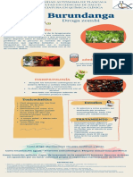 Infografia Burundanga