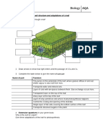 Leaft Structure Adaptations Worksheet F