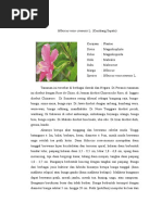 Download TANAMAN DAN HEWAN BERKHASIAT OBAT by daitrims1 SN50896390 doc pdf