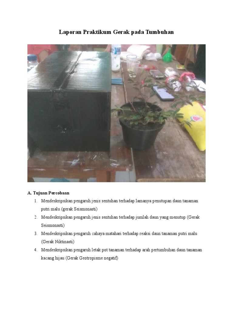 Laporan Praktikum Gerak Pada Tumbuhan Laporan...... | PDF