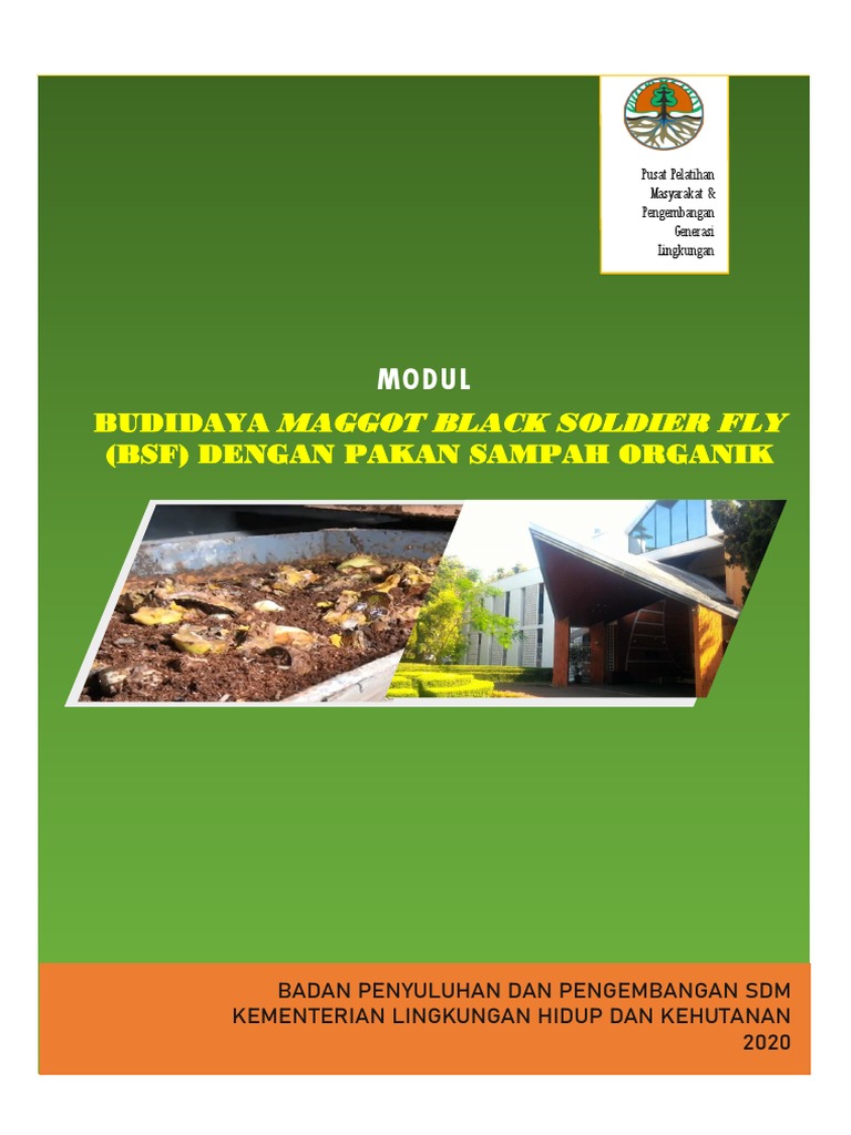 Modul Budidaya Maggot BSF 2020 | PDF