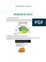 Taller Biologi Aparato de Golgi 4to Parcial Giss