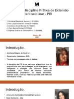 Portifólio Da Disciplina Prática de Extensão Interdisciplinar - PEI