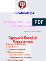 Clase 2 Organización Del SN