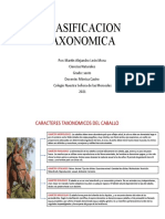 Clasificacion Taxonomica