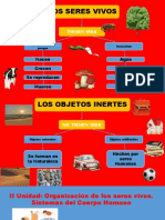 Niveles de Organización de Los S V