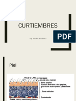 Clase 2-2 Curtiembre