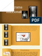Cistograma miccional: visualización de la vejiga