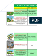 Resumen Peligros Fincas