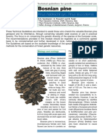 Technical Guidelines Pinus Heldreichii
