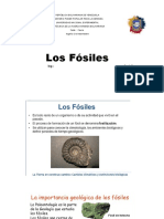 Los Fósiles