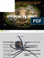 Animal Planet Document on Spiders, Bears, Tigers, Pigs and Horses