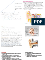 resumo audio I