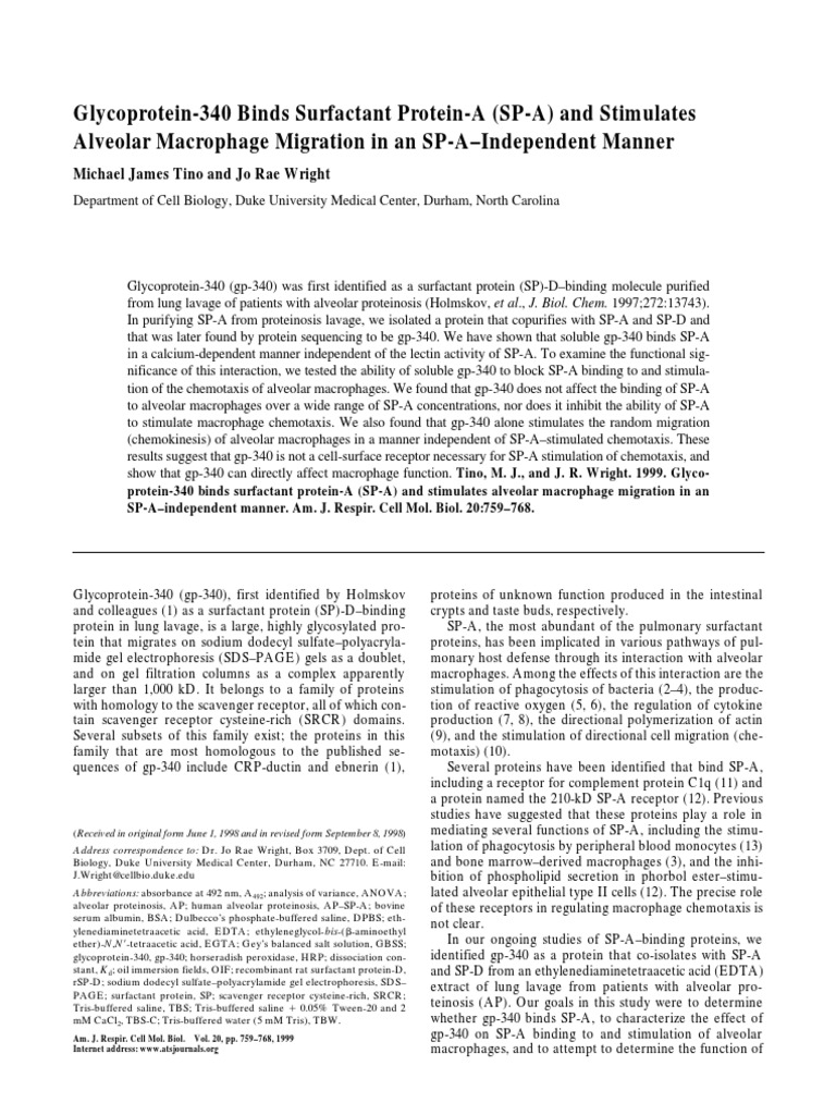 Glycoprotein340 Binds Surfactant ProteinA SPA A PDF Western Blot