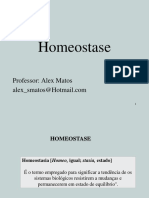 Homeostase 2007