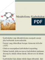 Metabolisme Karbohidrat - Glikolisis