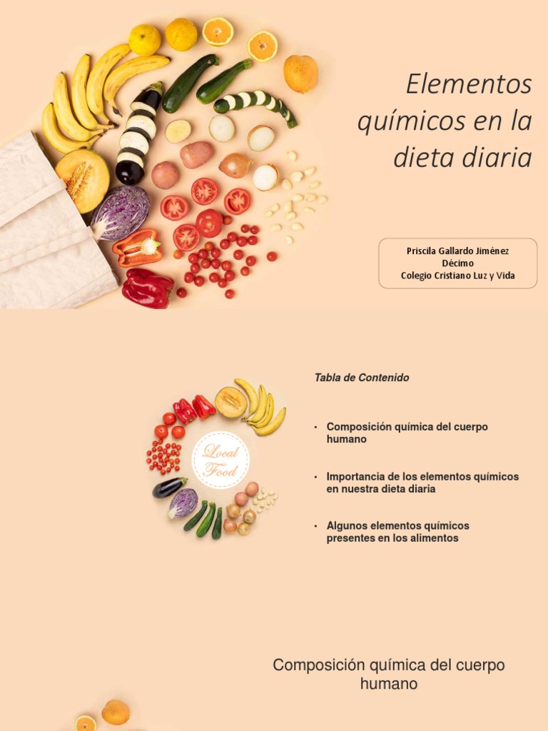 Elementos Químicos en la Dieta Diaria | PDF | Salud y bienestar