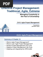 Ch10 Agile Project Management