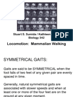 Locomotion: Mammalian Walking: Stuart S. Sumida / Kathleen Devlin Biology 342