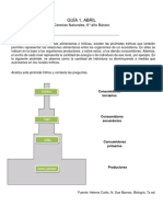 Guía AMPLIACIÓN Flujo de Materia y Energía en Los Ecosistemas.