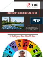 Inteligencia Naturalista