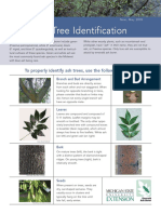 Ash Tree ID MSU