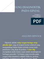 Diagnostik Pada Penyakit Ginjal 3