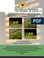 E-LKPD 1 Tumbuhan Lumut (Bryophyta) - Dina A