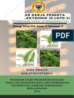 E-LKPD 2 Tumbuhan Paku (Pteridophyta) - Dina A