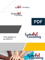 sistech-m consulting profile