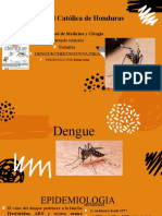 Dengue y Zika