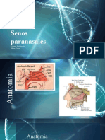 Nariz y Senos Paranasales