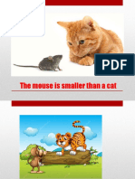The Mouse Is Smaller Than A Cat