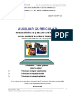 Auxiliar Curricular: Modulul:Sănătate Şi Securitate În Muncă