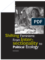 Shifting Feminisms: From Intersectionality to Political Ecology