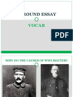 WWI Background Essay: Vocab