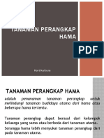 Tanaman Perangkap Hama-1