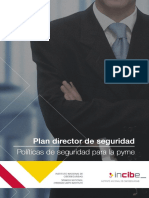 Plan Director Seguridad