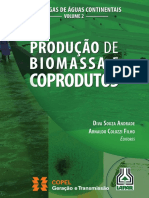 LIVRO - Produção de Biomassa e Coprodutos