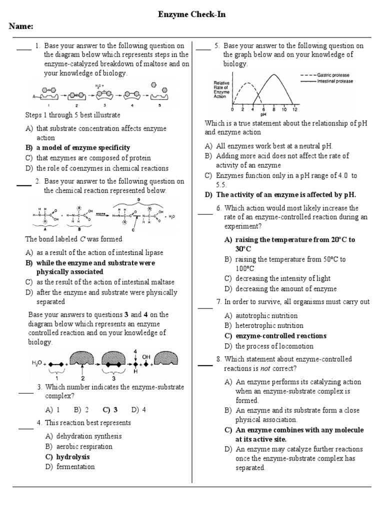 Kami Export Enzyme Check in Quiz ANSWER KEY PDF Enzyme