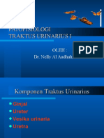 Patofisiologi Traktus Urinarius I
