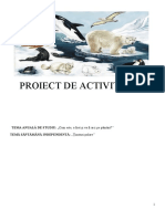 Proiect Didactic ADP