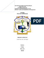 Fichas de Práctica Supervisada