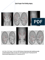 Fig 1. Typical Images of Each Labeling Category