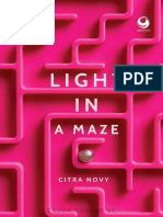Light in A Maze