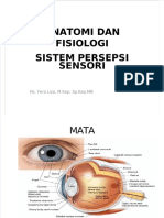 Anfis Persepsi Sensorik 2