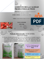 Informe Producto Lacteo